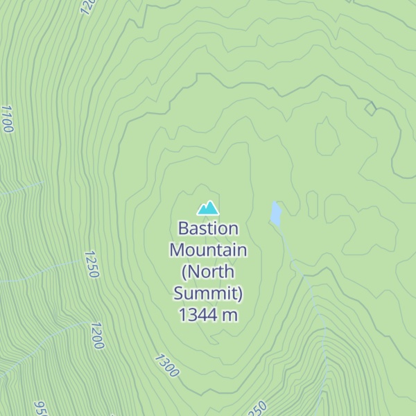 Map of Bastion Mountain (North Summit)