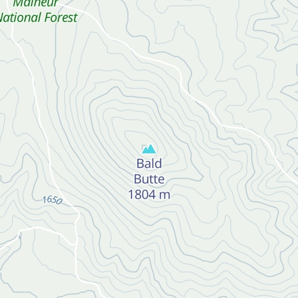 Map of Bald Butte