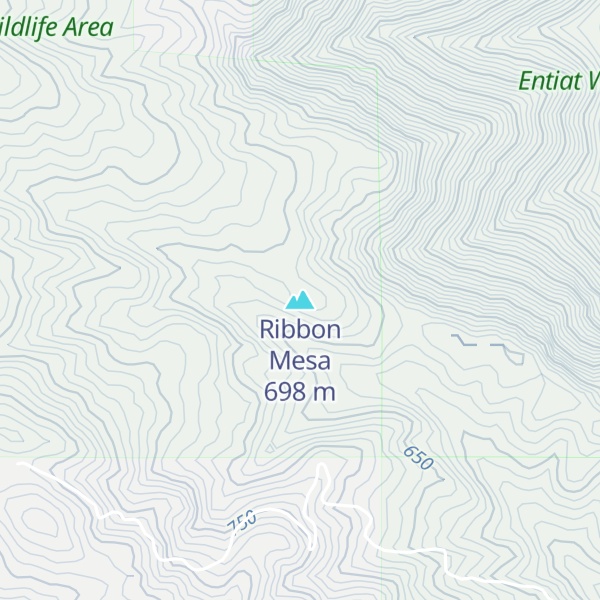 Map of Ribbon Mesa