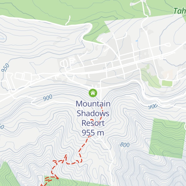 Map of Mountain Shadows Resort