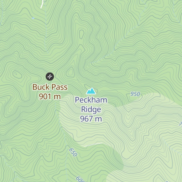 Map of Peckham Ridge