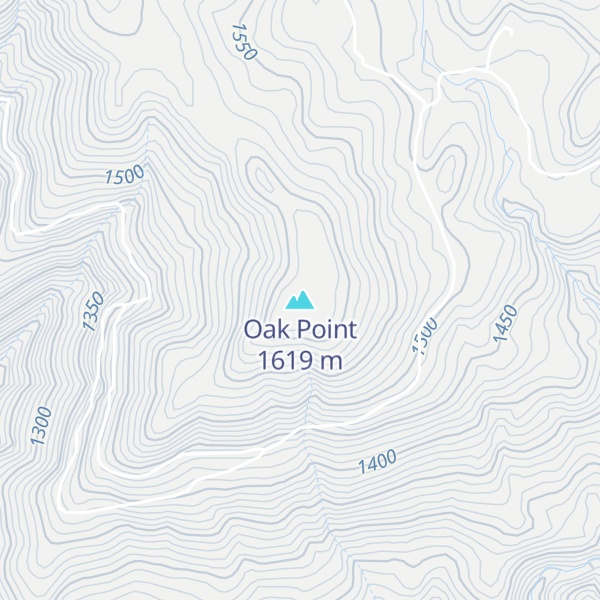 Map of Oak Point
