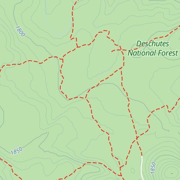 Map of Swampy Shelter