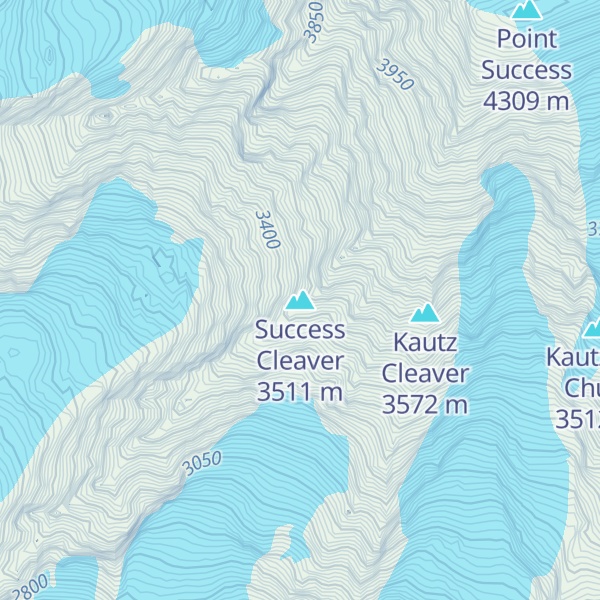 Map of Success Cleaver