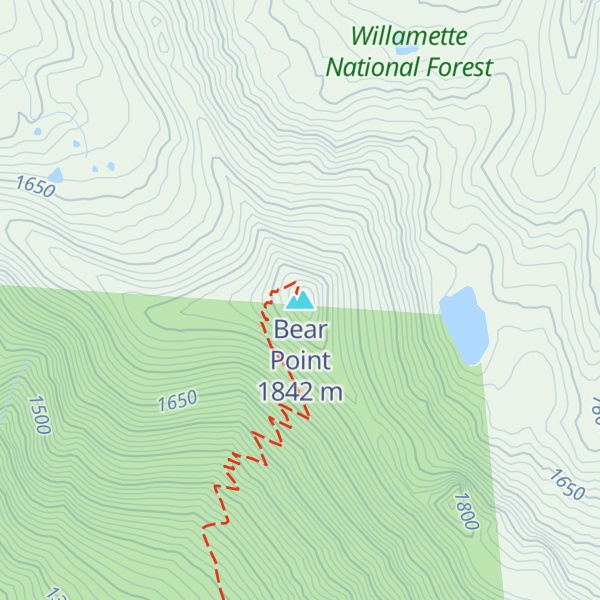 Map of Bear Point