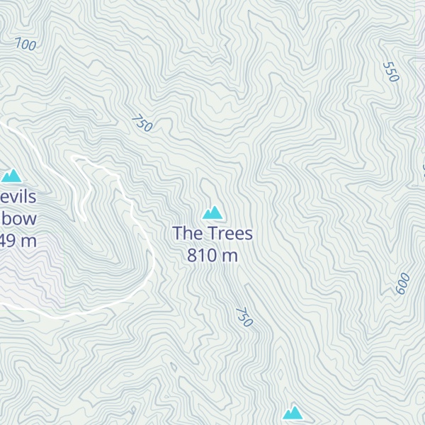 Map of The Trees