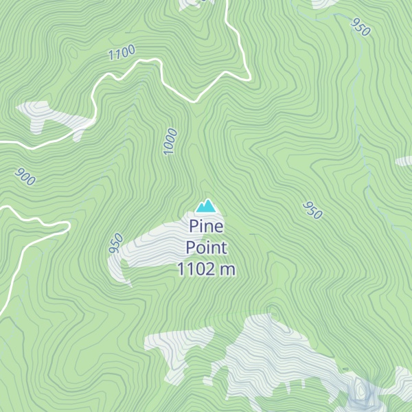 Map of Pine Point
