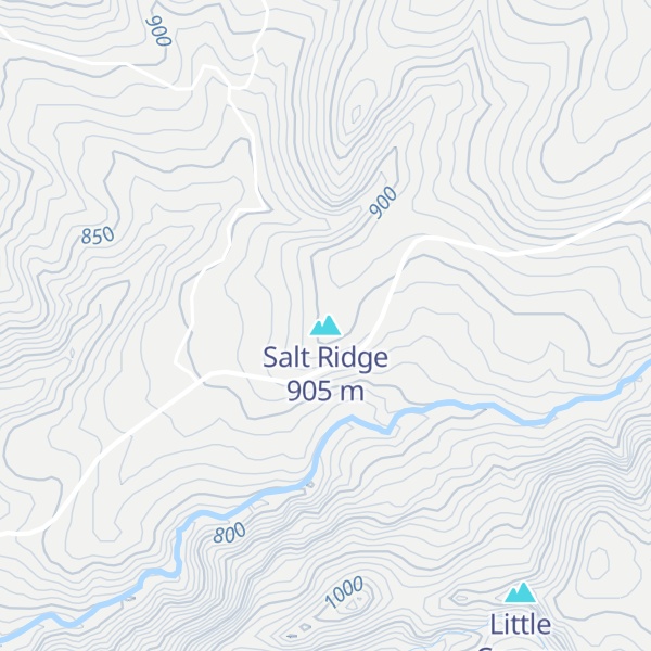 Map of Salt Ridge