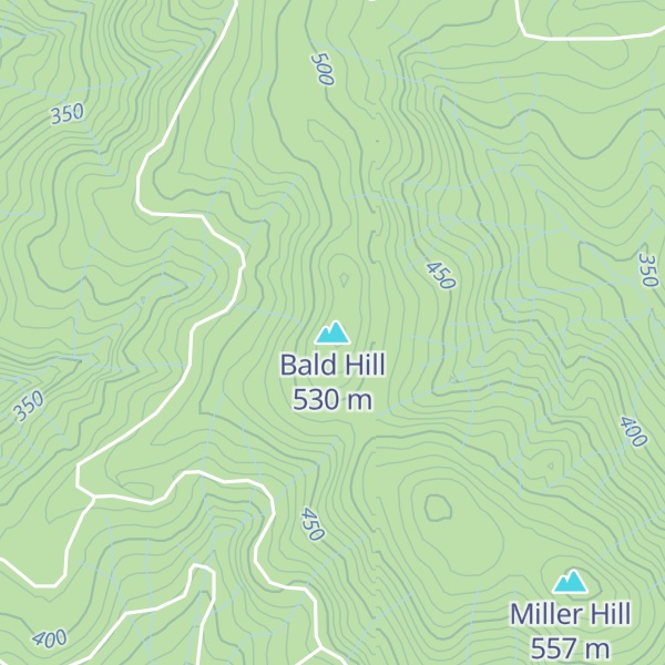 Map of Bald Hill