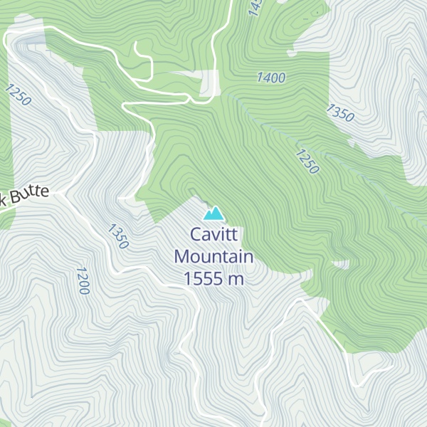 Map of Cavitt Mountain