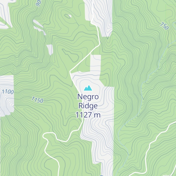 Map of Negro Ridge