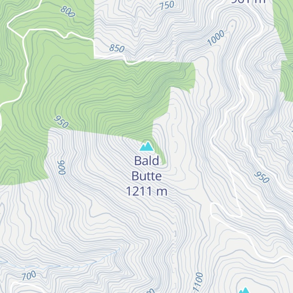 Map of Bald Butte