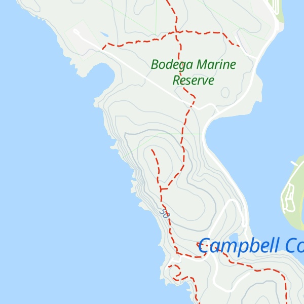 Map of Bodega Head