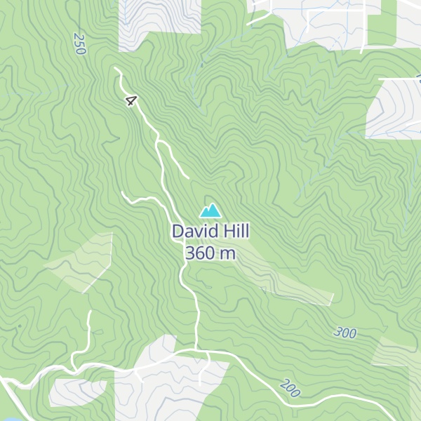 Map of David Hill