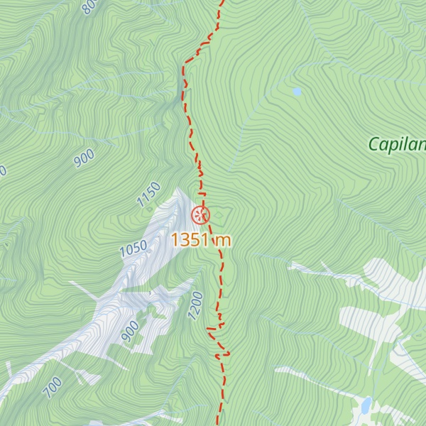 Map of Saint Marks Summit