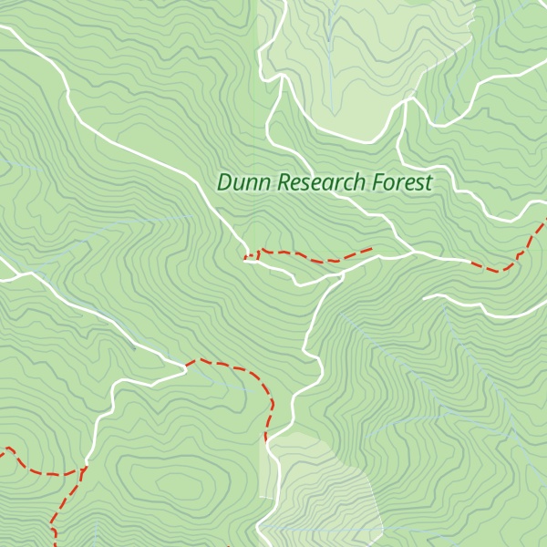 Map of Forest Peak