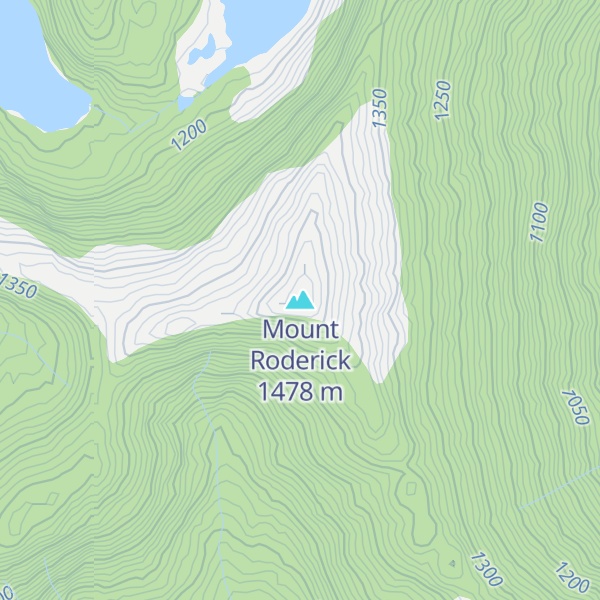 Map of Mount Roderick