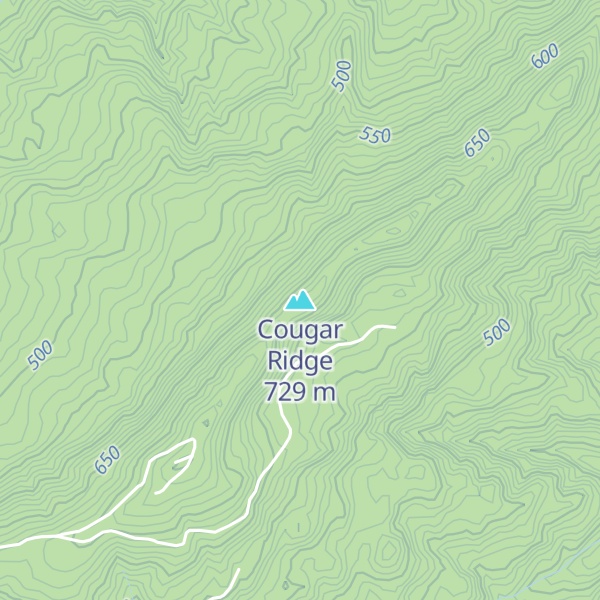 Map of Cougar Ridge