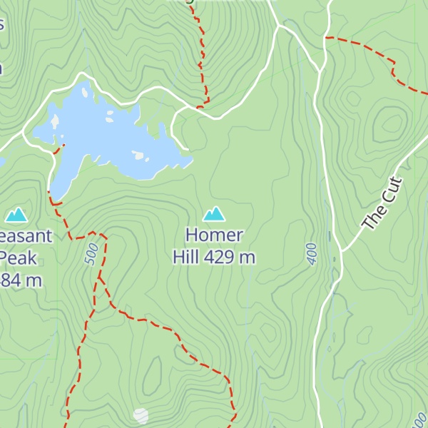 Map of Homer Hill