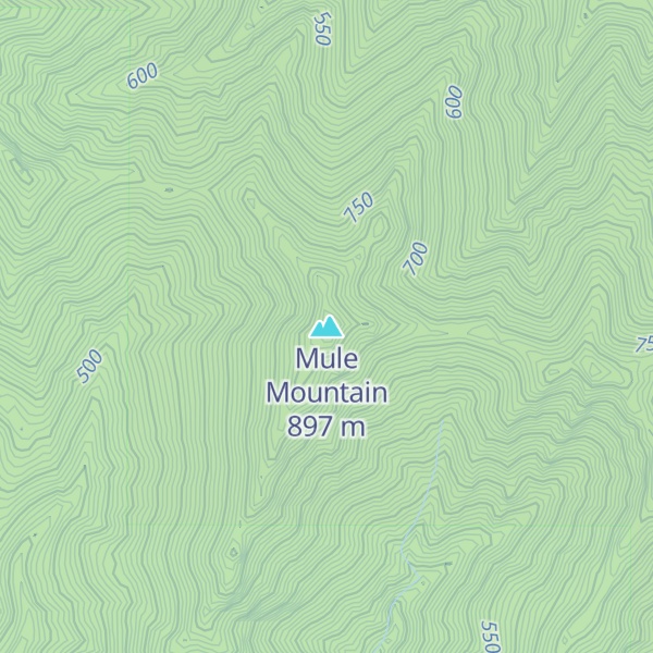 Map of Mule Mountain