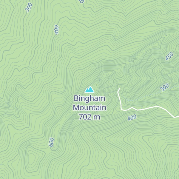 Map of Bingham Mountain