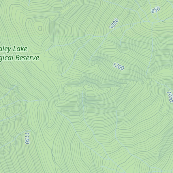 Map of Gemini Mountain