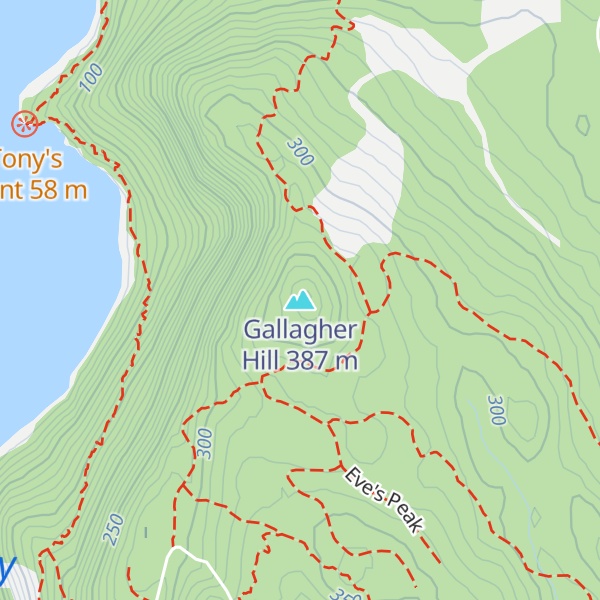 Map of Gallagher Hill