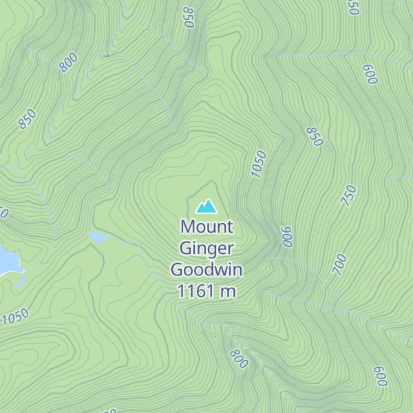 Map of Mount Ginger Goodwin