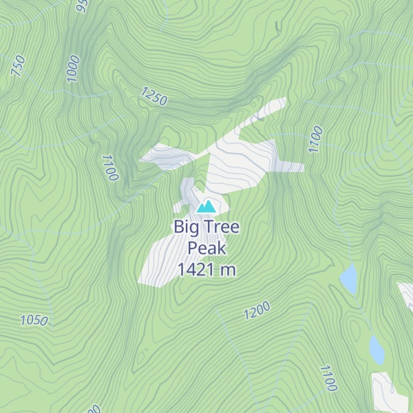 Map of Big Tree Peak