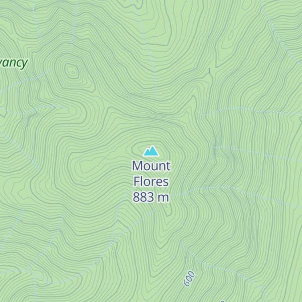 Map of Mount Flores