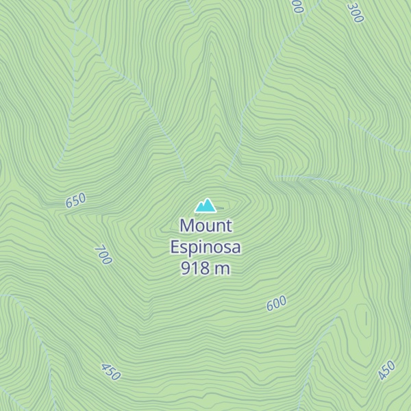 Map of Mount Espinosa