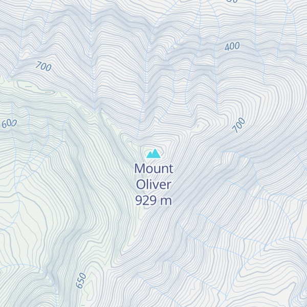 Map of Mount Oliver