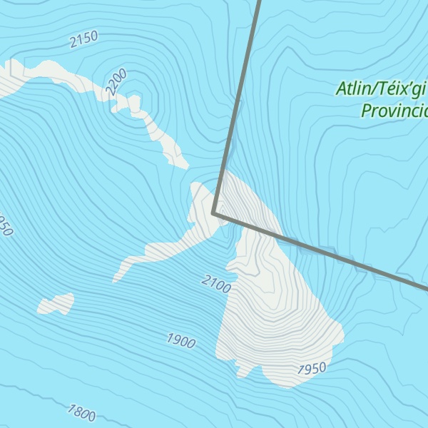 Map of Boundary Peak 99
