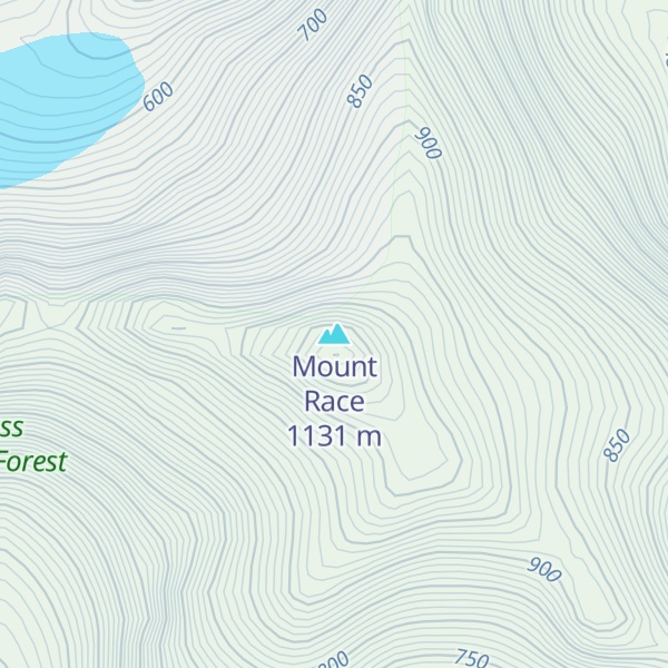 Map of Mount Race