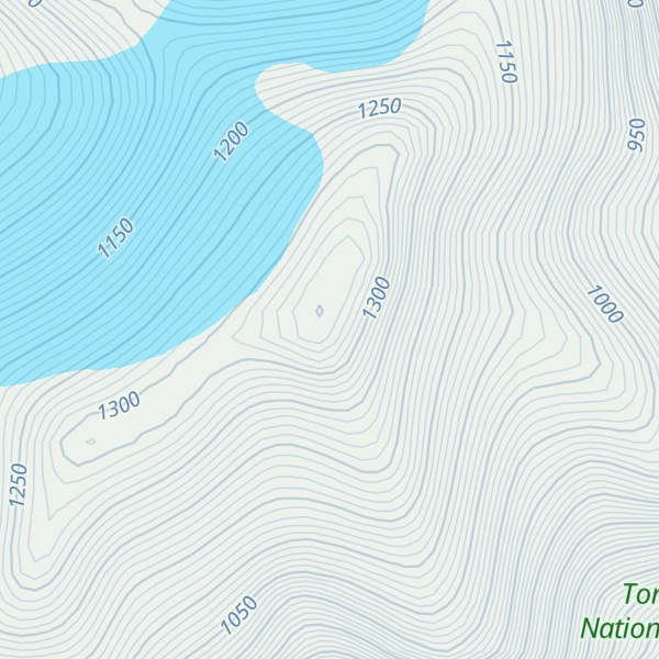 Map of Mount Bassie