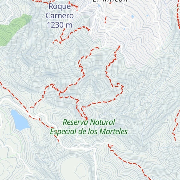 Map of Roque Grande