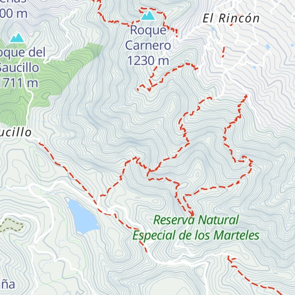 Map of Roque del Pino