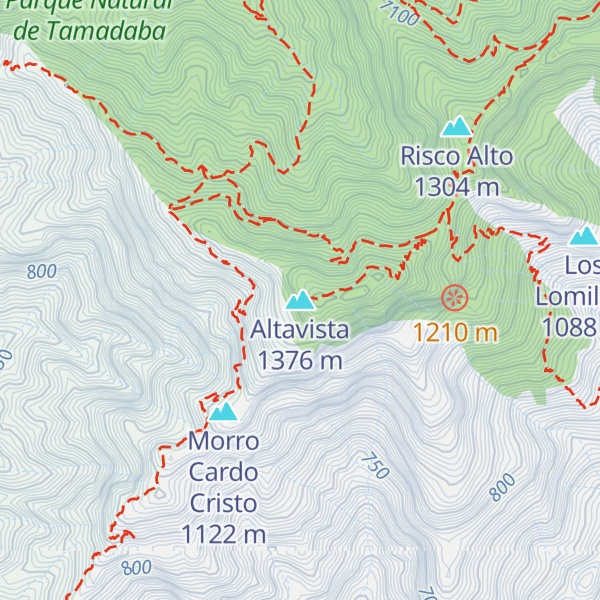 Map of Altavista