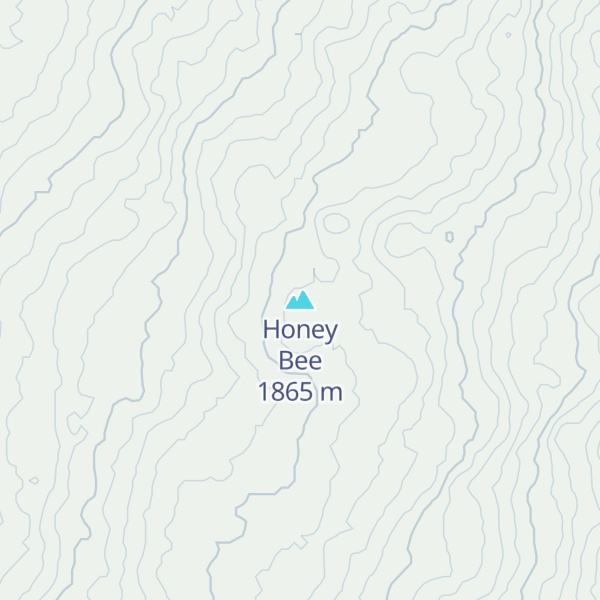 Map of Honey Bee