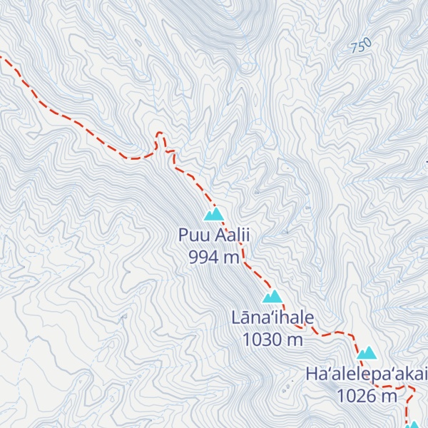 Map of Puu Aalii
