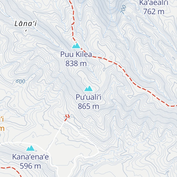 Map of Puʻualiʻi