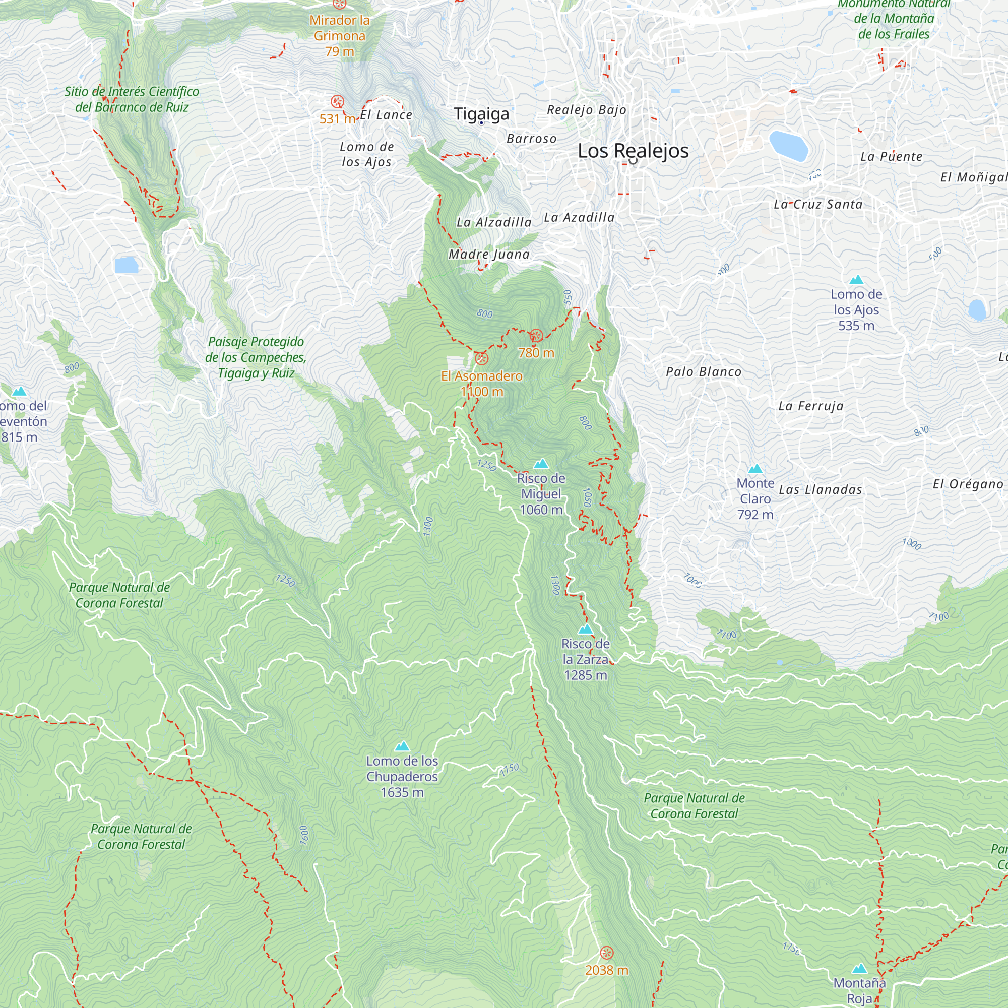Choza Viera y Clavijo map