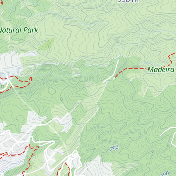 Map of Pico Alto