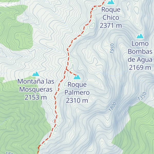 Map of Roque Palmero