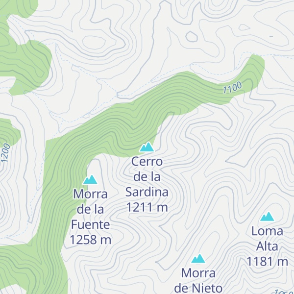 Map of Cerro de la Sardina