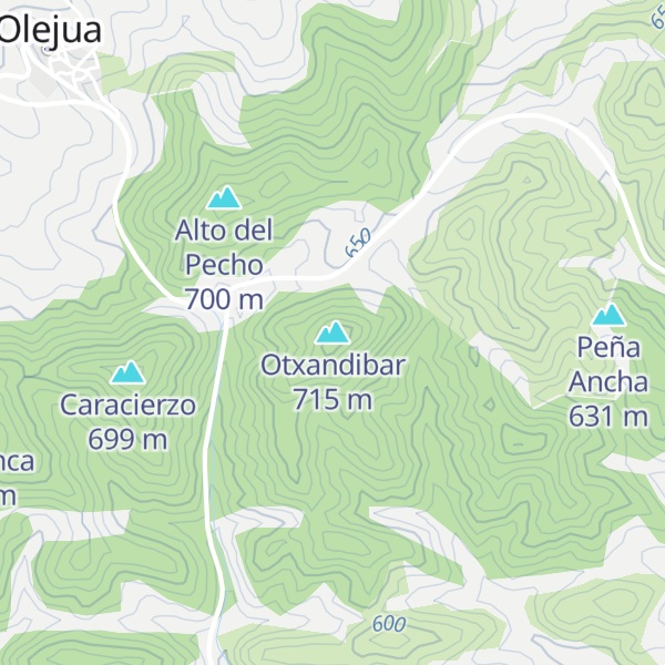 Map of Otxandibar