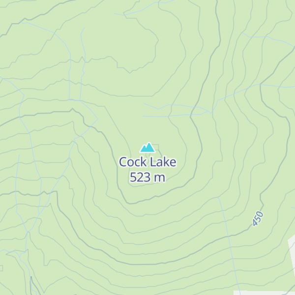Map of Cock Lake