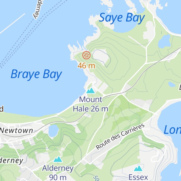 Map of Mount Hale