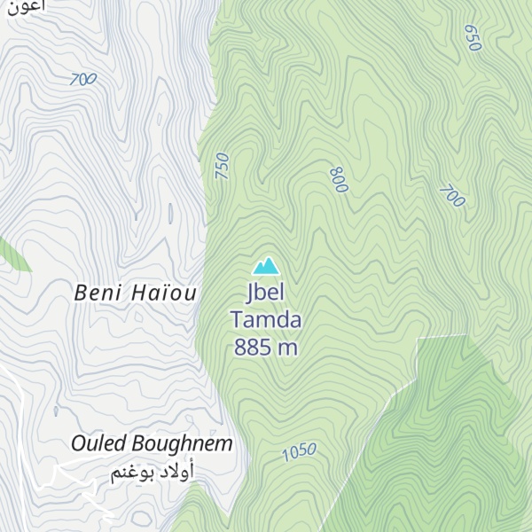 Map of Jbel Tamda