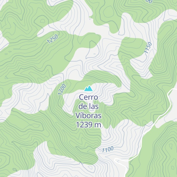 Map of Cerro de las Víboras
